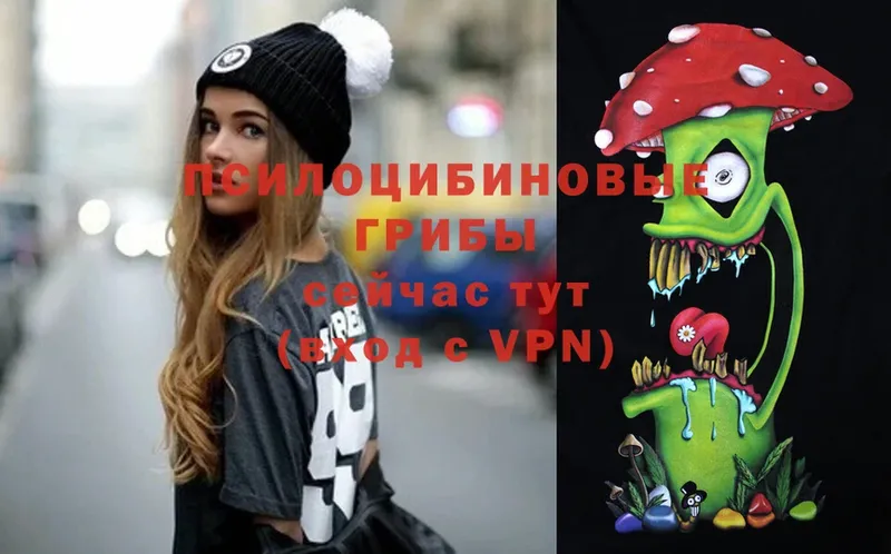 omg ТОР  продажа наркотиков  Приволжск  Галлюциногенные грибы Magic Shrooms 